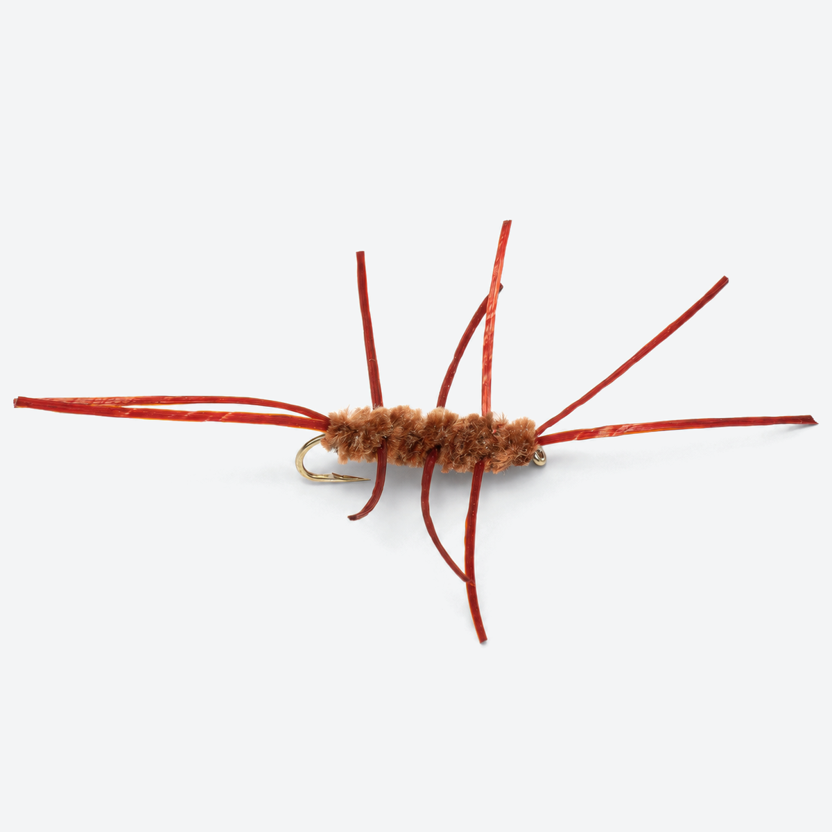Pats rubber legs brown fly on a pale studio background