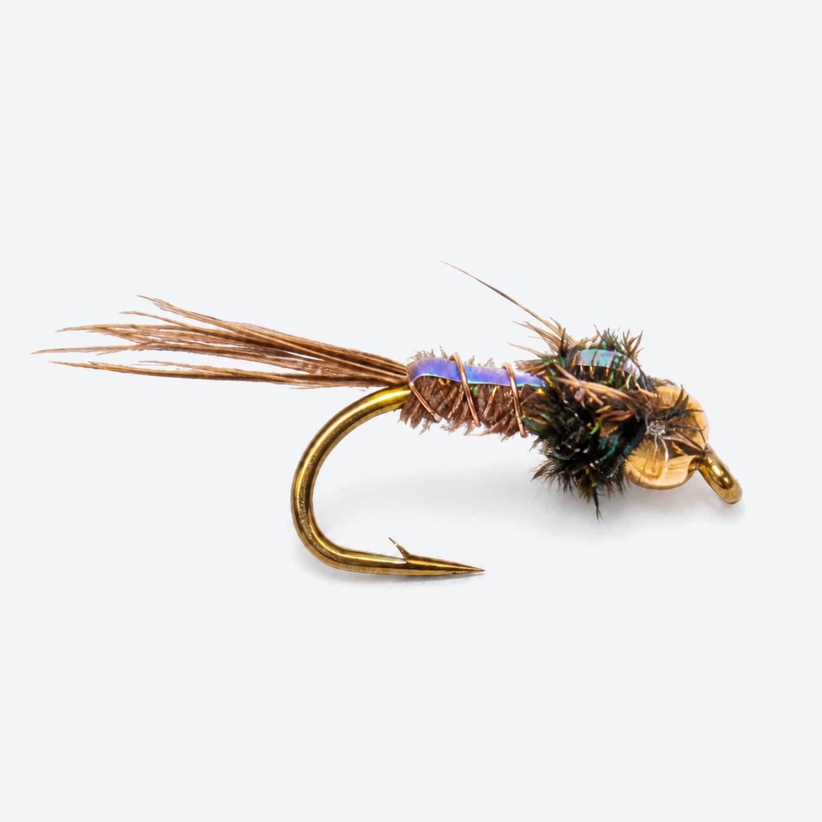 Pheasant tail flashback fly on a pale studio background