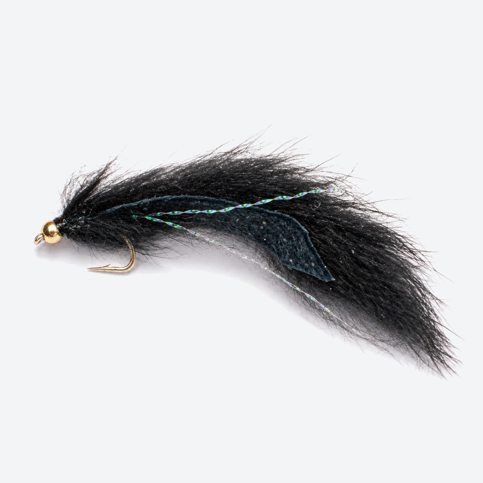 Pine squirrel leech black fly on a pale studio background