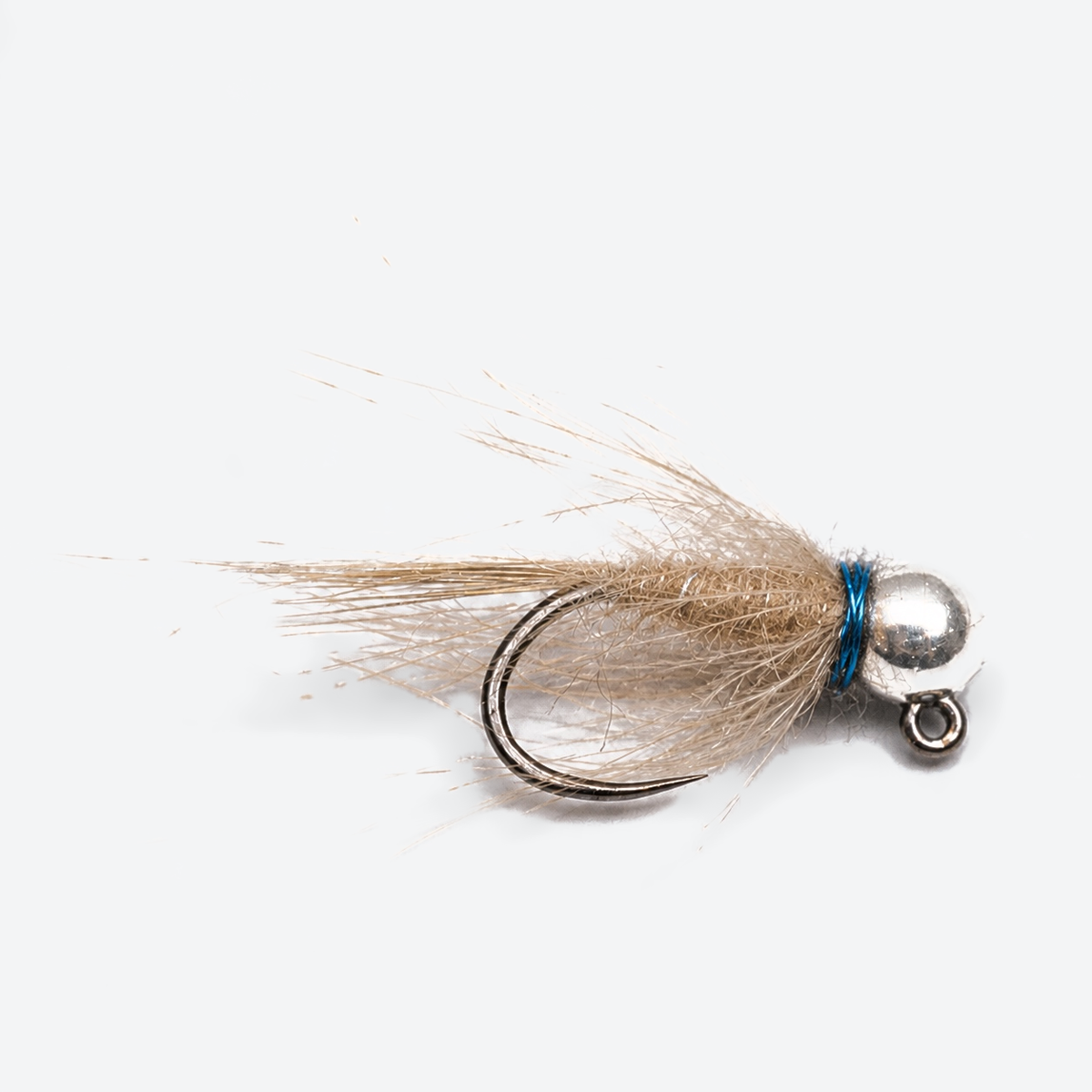 Duracell black fly on a pale studio background
