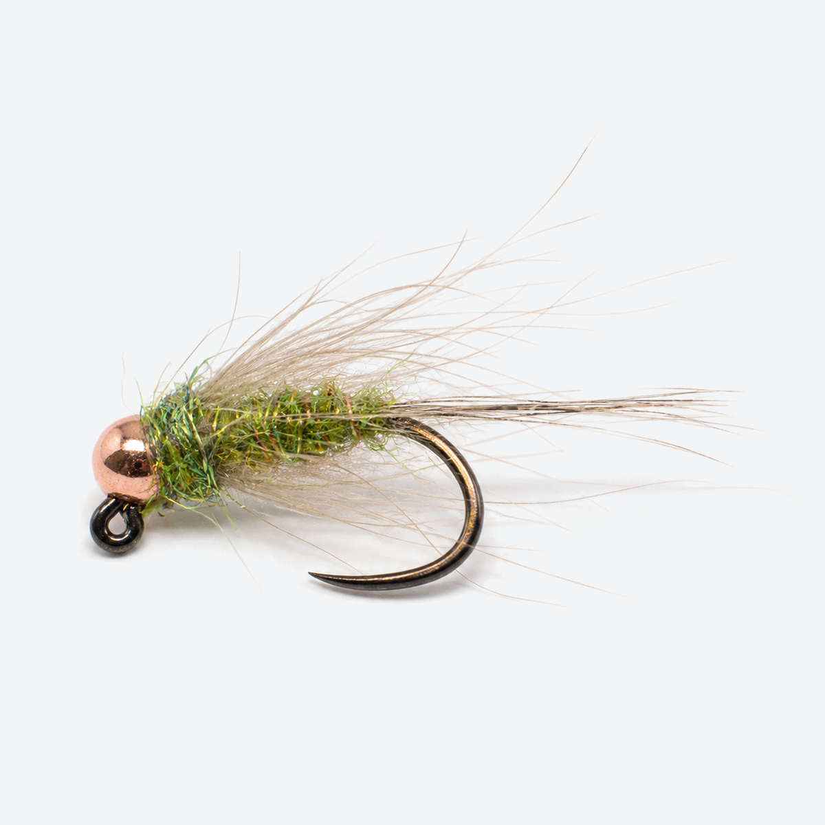 Duracell olive fly on a pale studio background