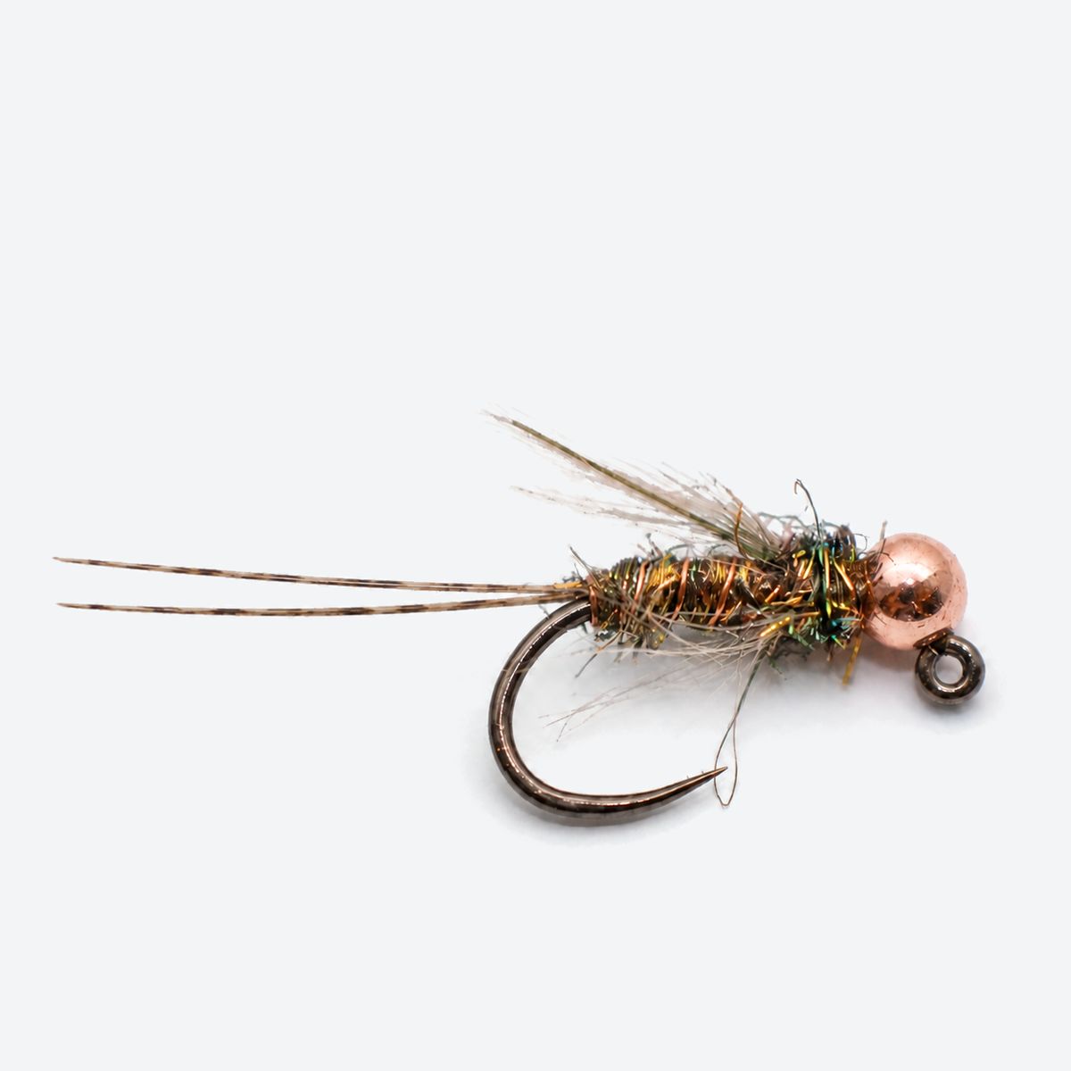 Duracell Jig single fly on a pale studio background
