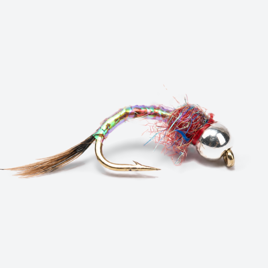 Rainbow Warrior