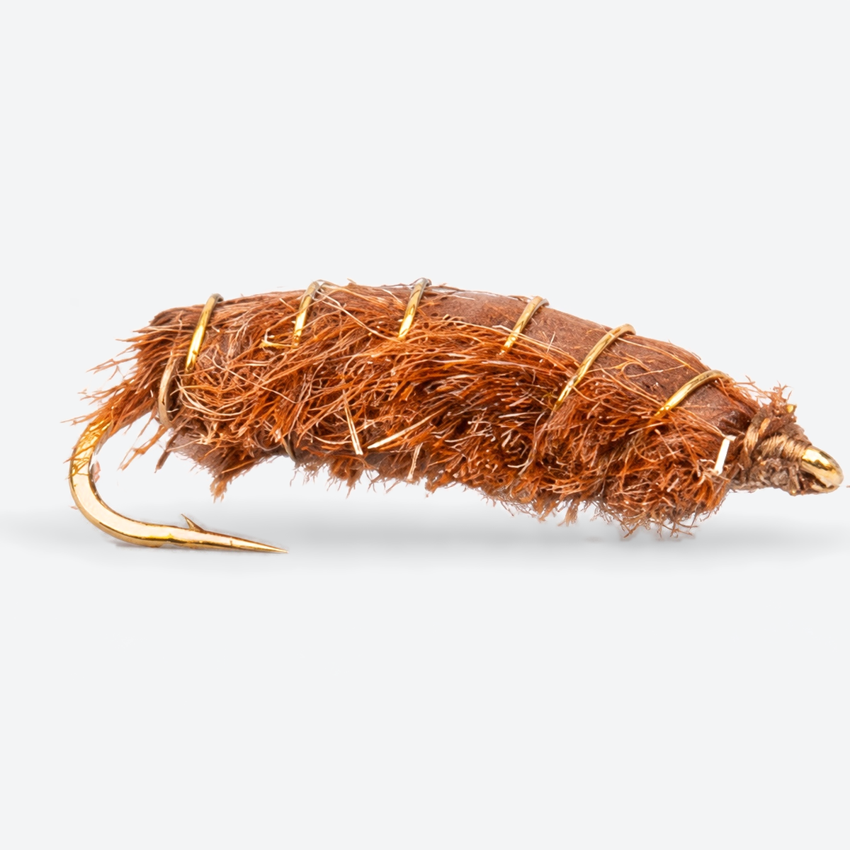 Rouse's J-Dub Sow Bug