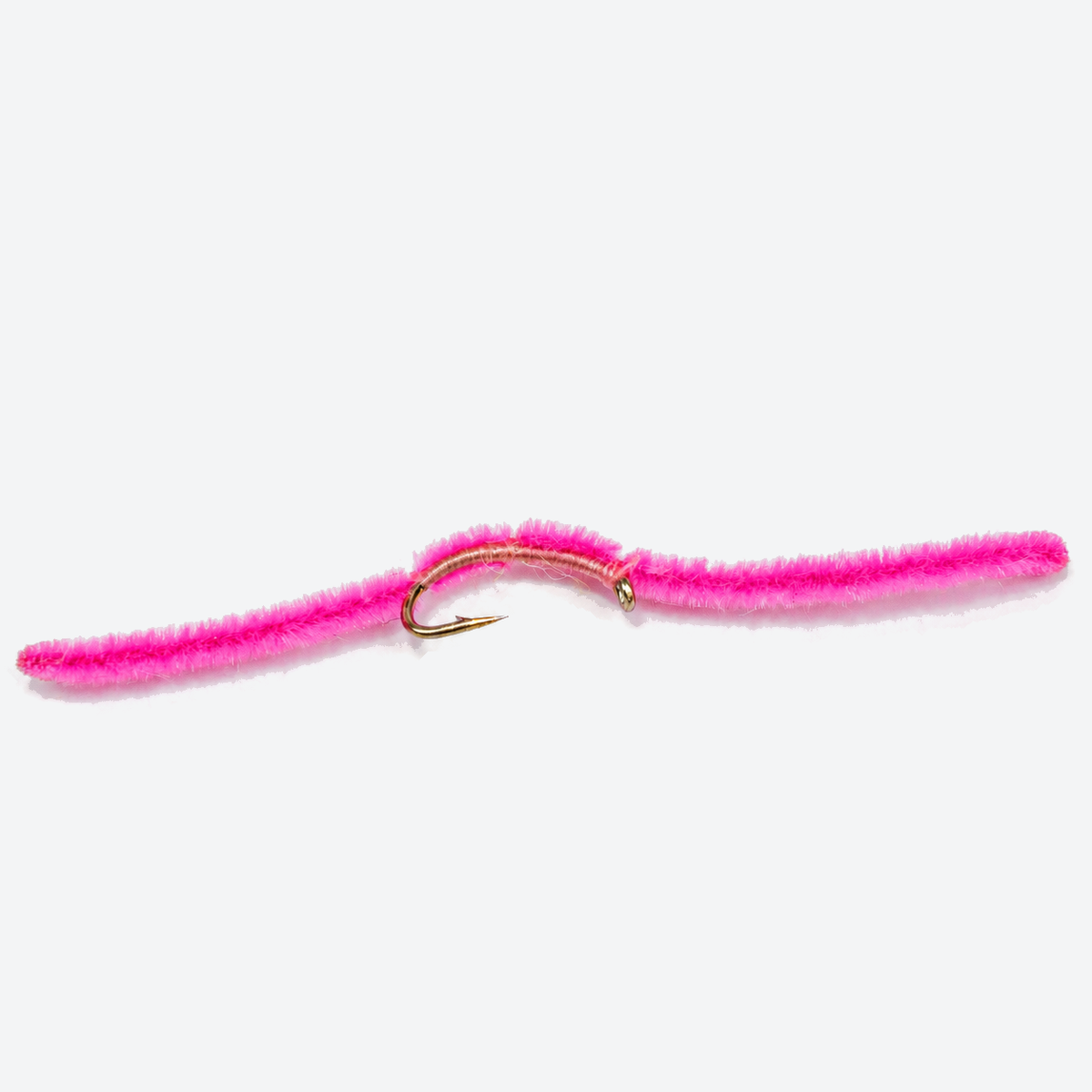San Juan Worm