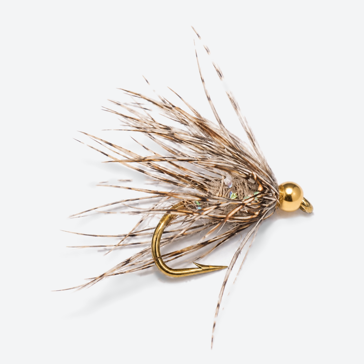 Soft hackle nymph fly on a pale studio background