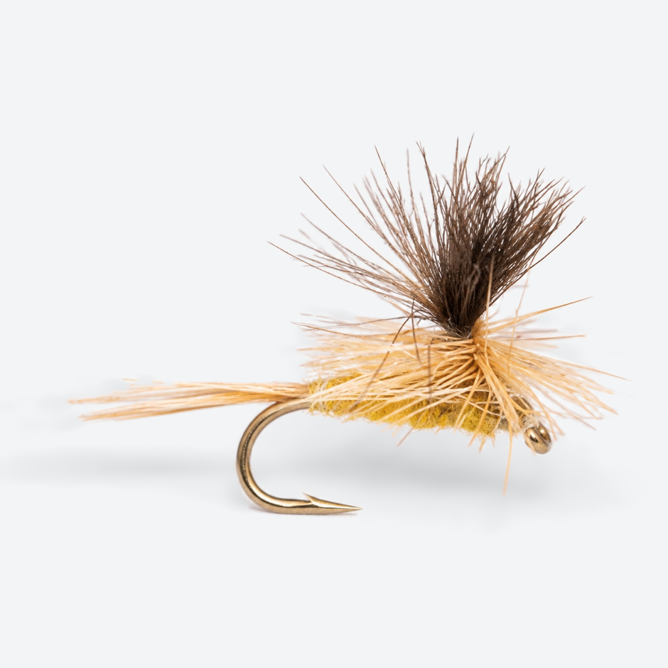 Sulphur Parachute
