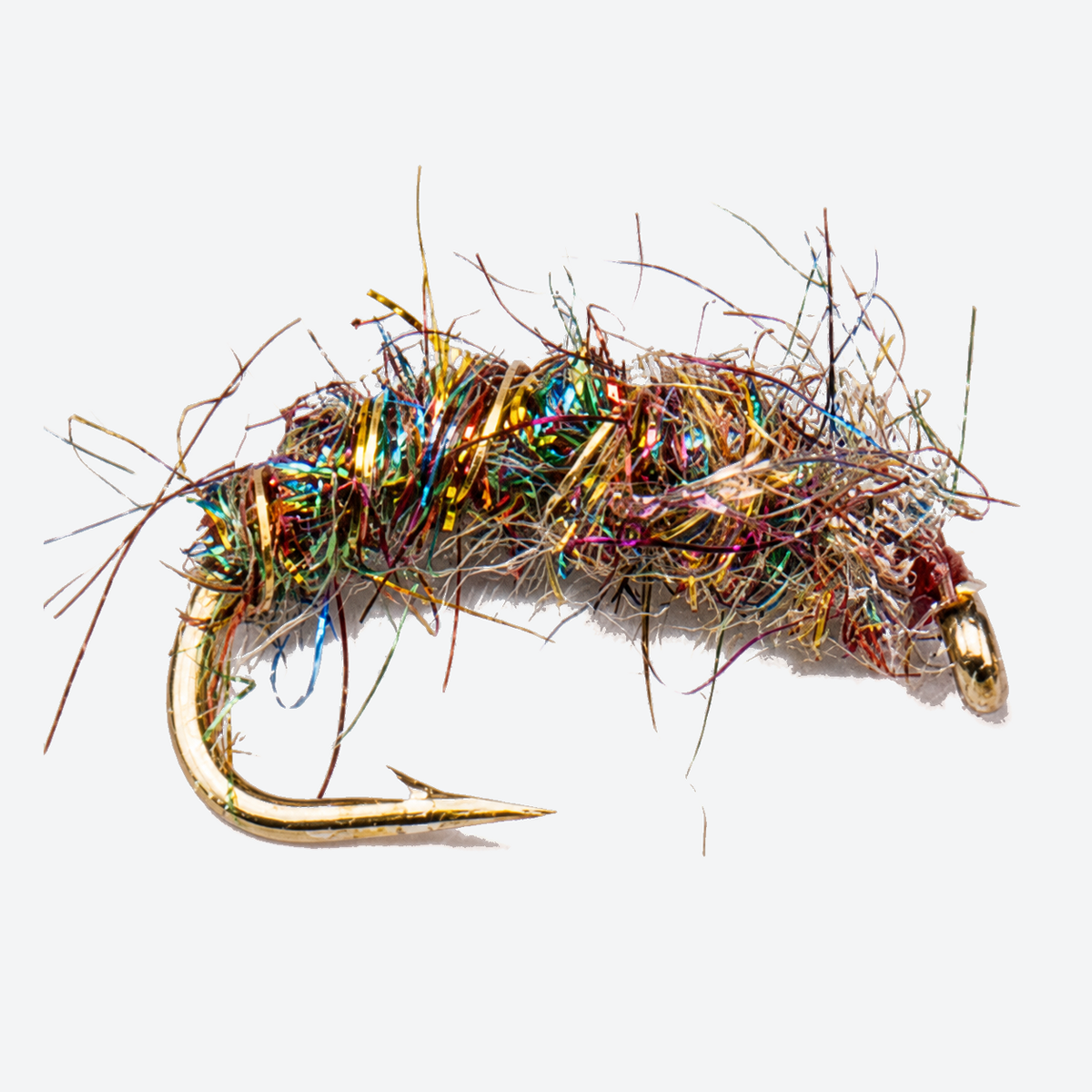 Rainbow Sow Bug