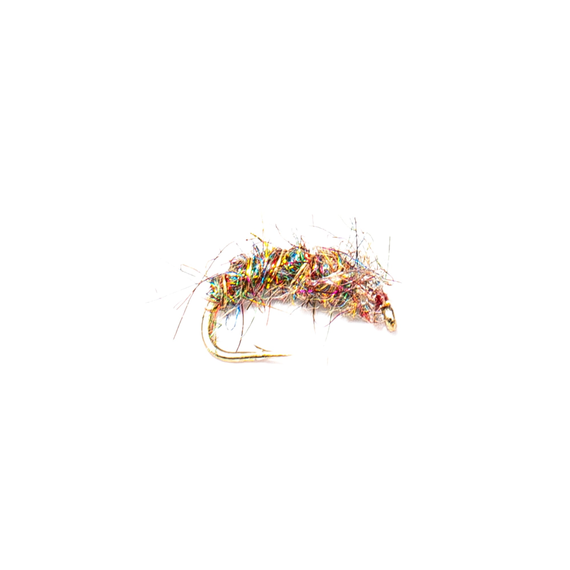 Rainbow Sow Bug