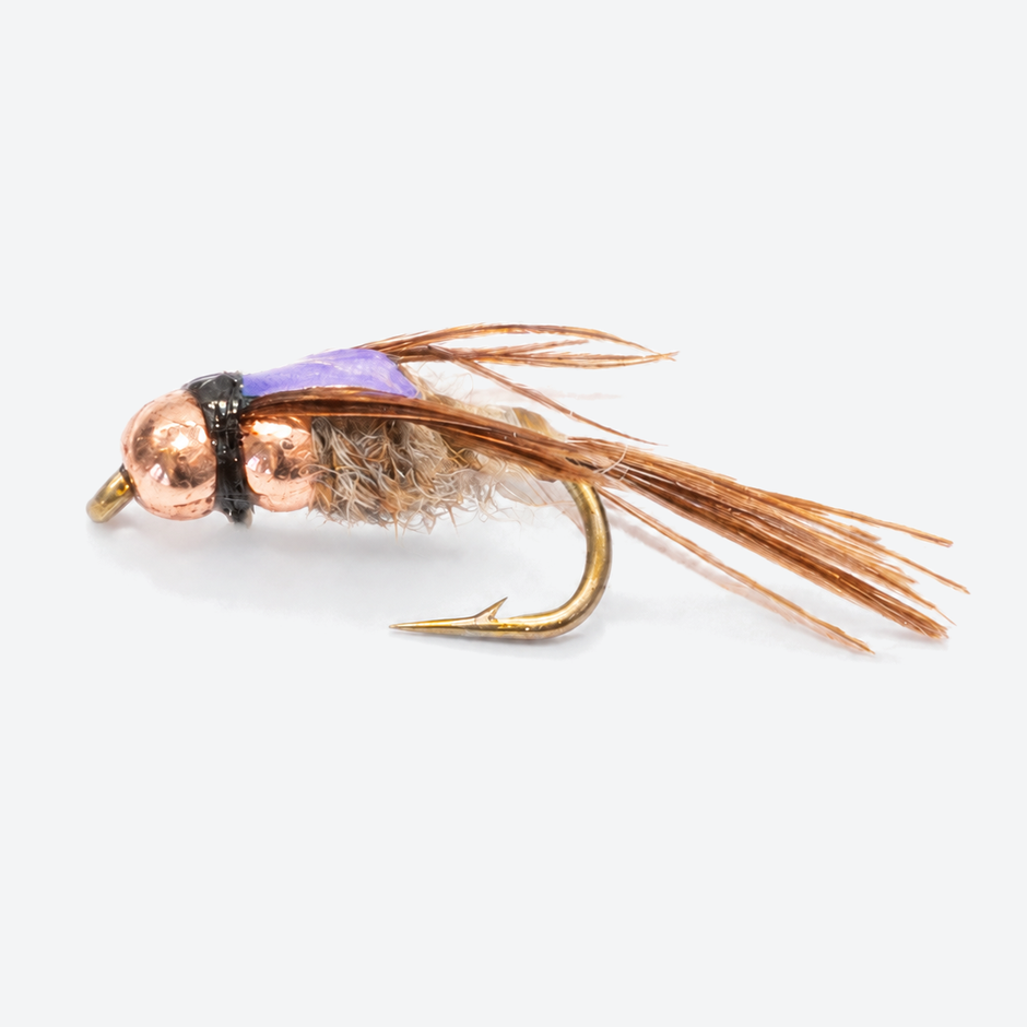 Two bit hooker fly on a pale studio background