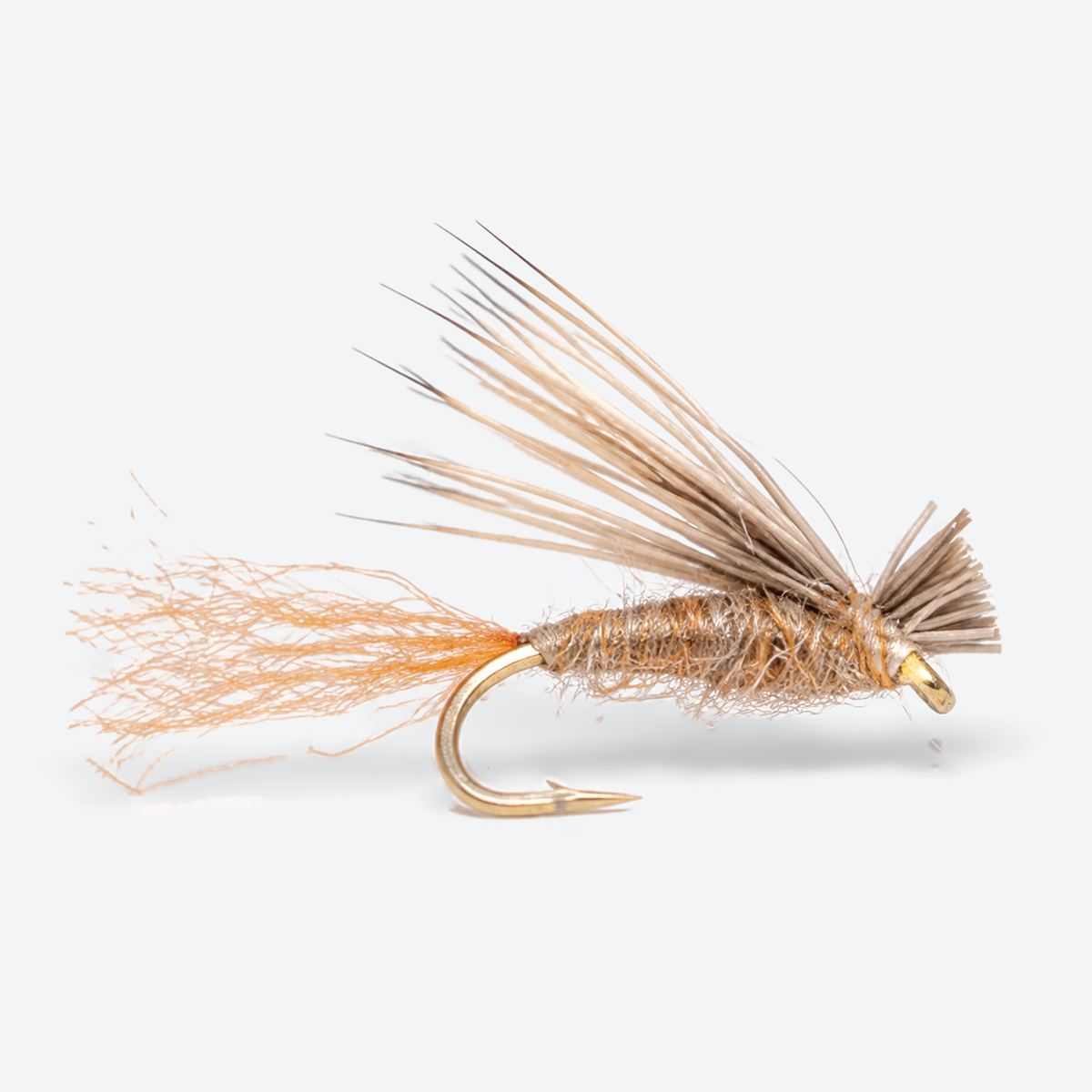X Caddis single fly on a pale studio background