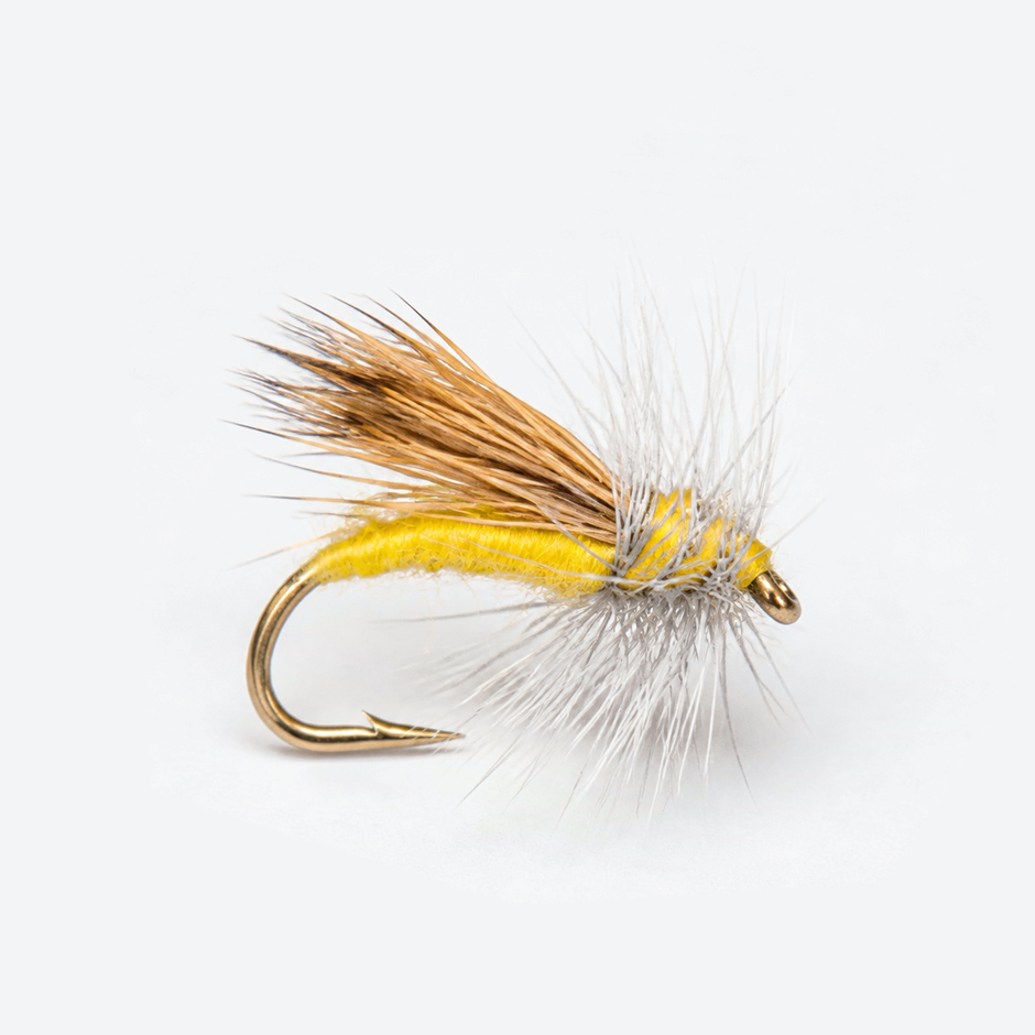 Yellow Sally