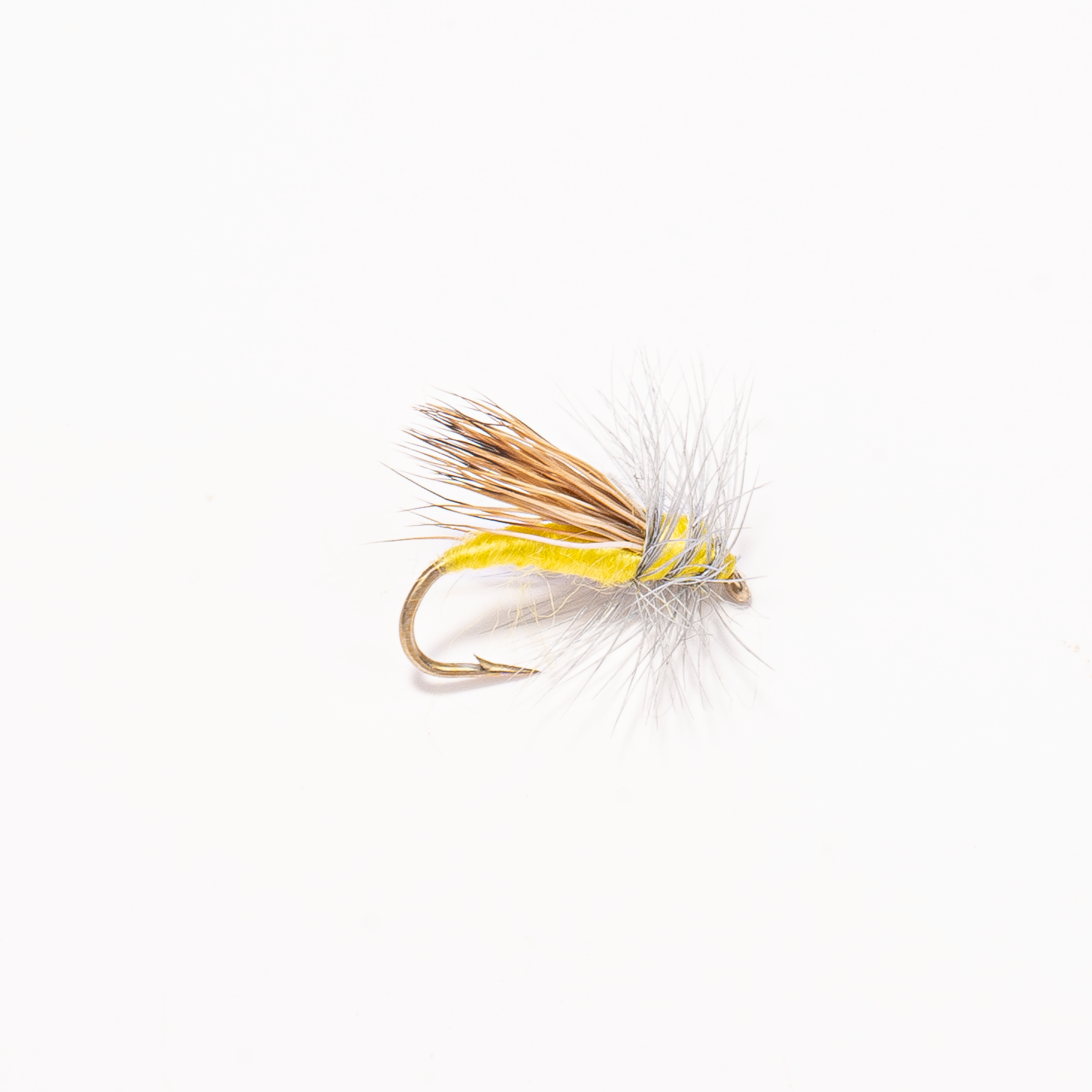 Yellow Sally
