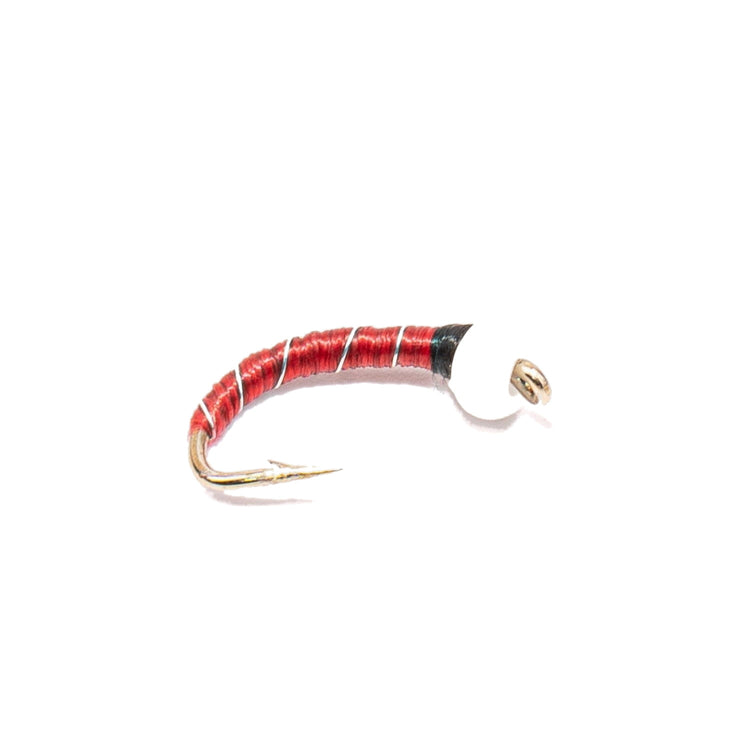 Chironomids