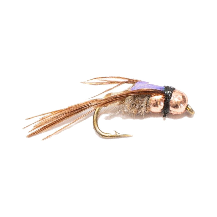 Nymphs