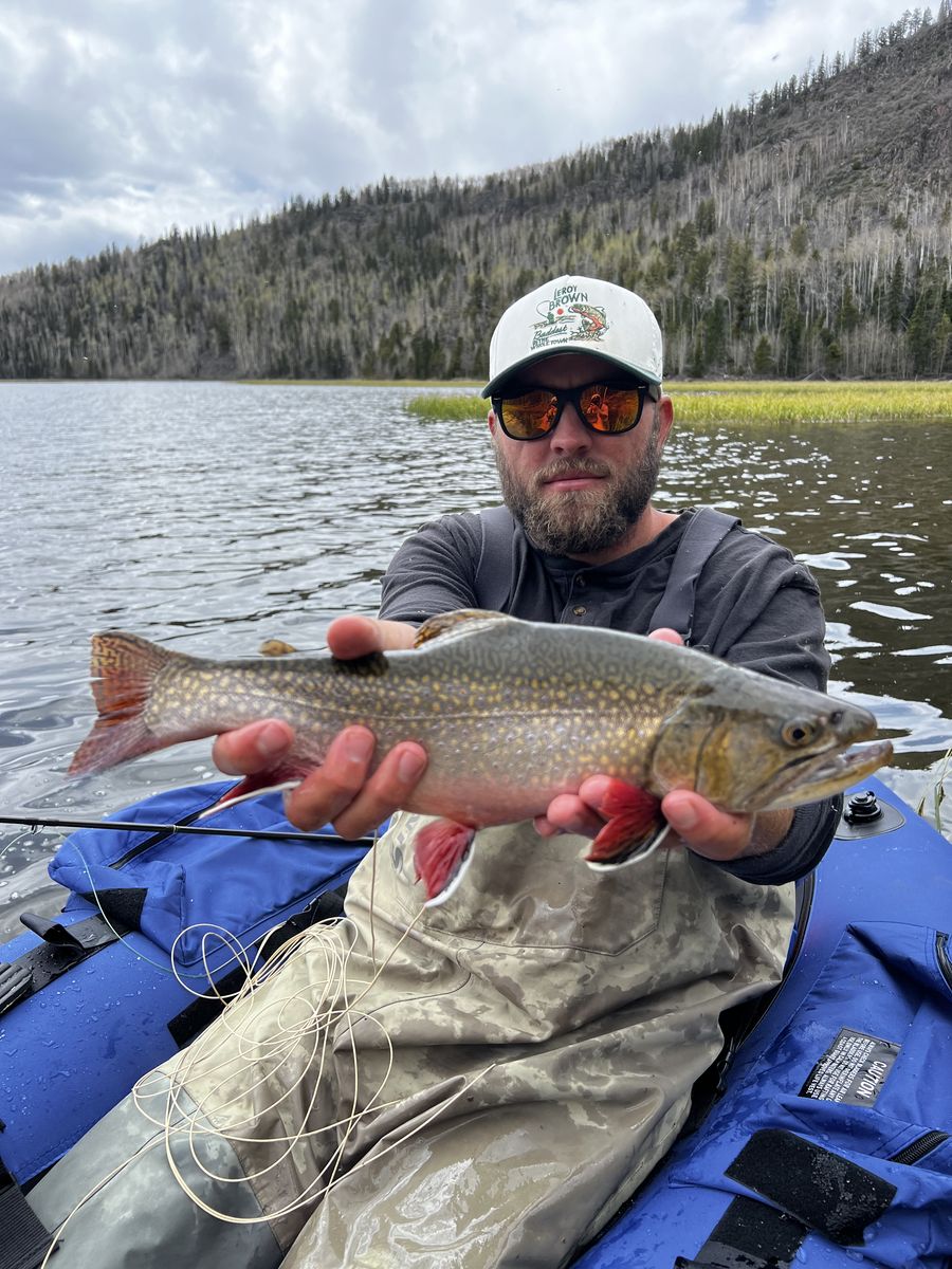 Anglers in the river with a brown trout