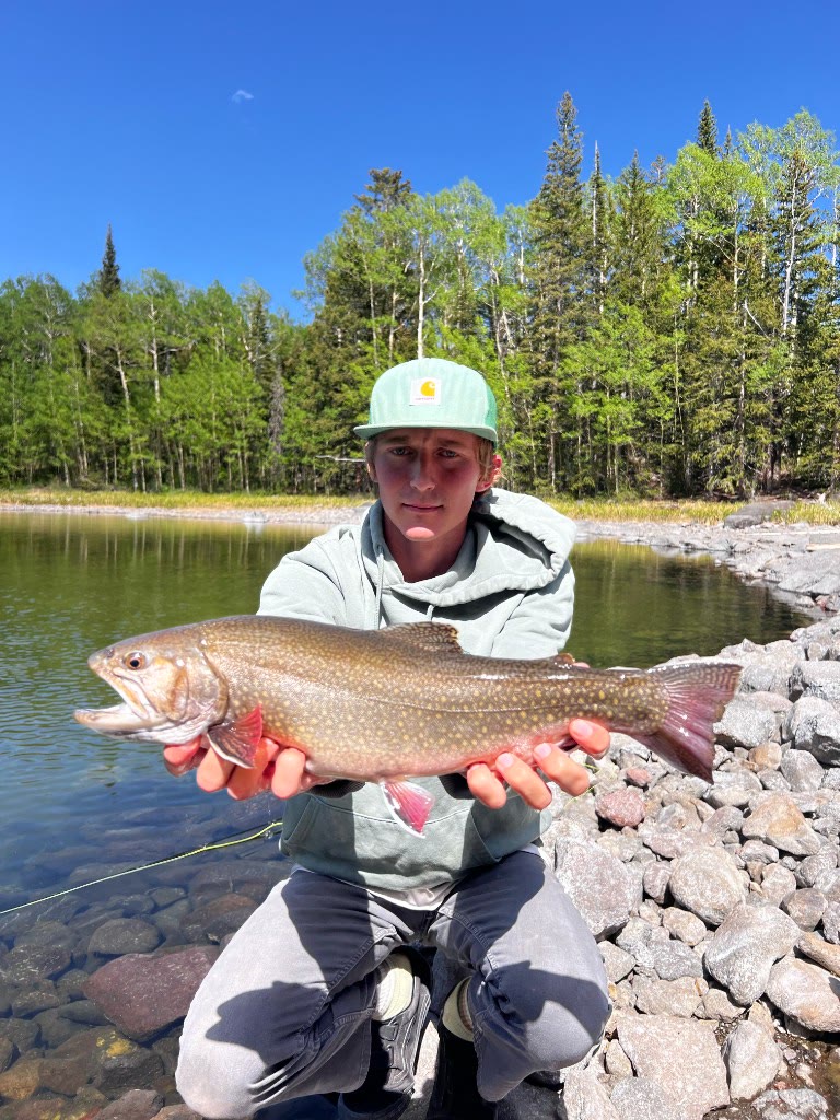 Brook trout at the lake