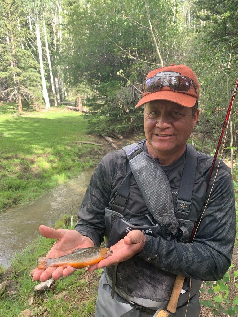 Brook trout on the stream