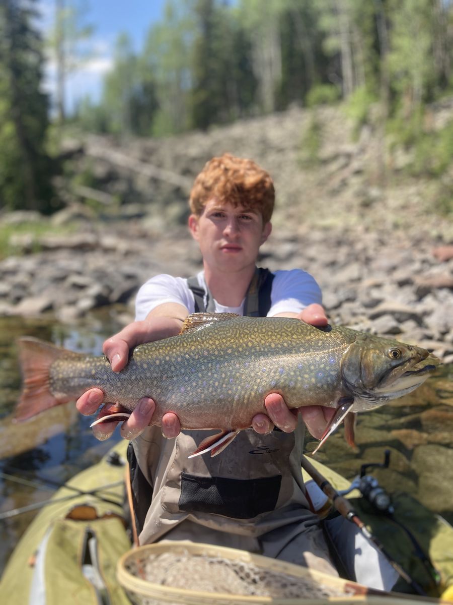 Angler holding a heavy brown trout