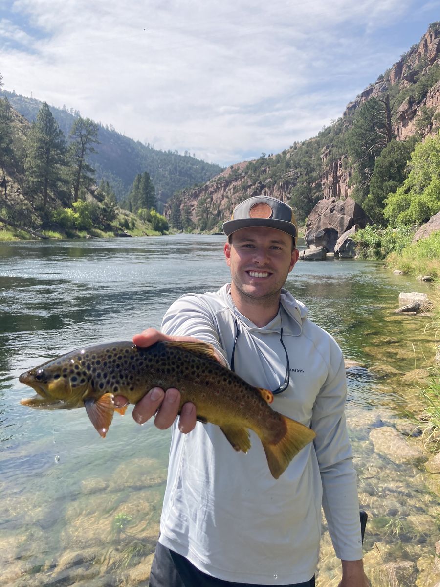 Brown trout landed below canyon walls