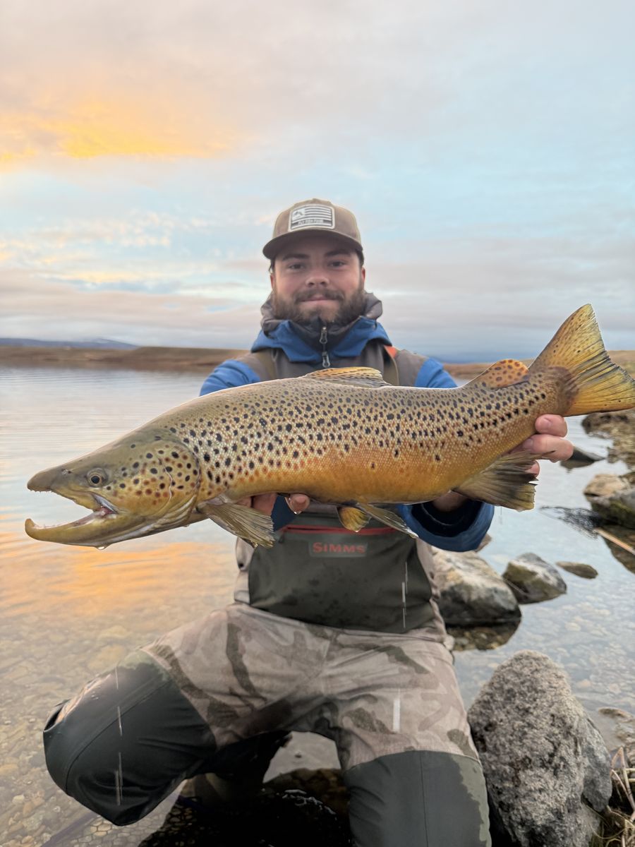 Angler with a brown trout in the meadow