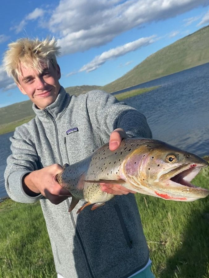 Angler with a brown trout below the hills