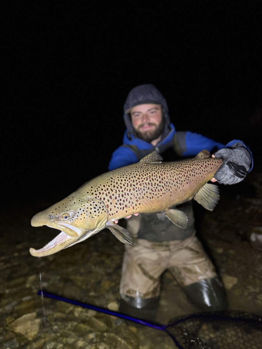 Angler with a brown trout after dark