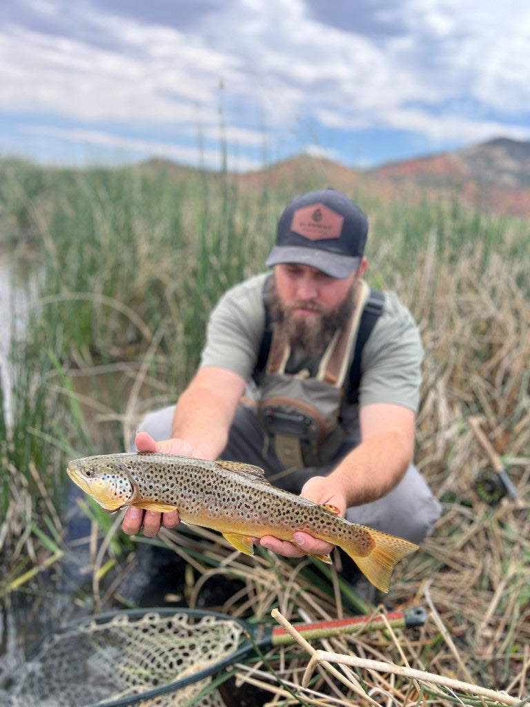 Brown trout catch among the reeds