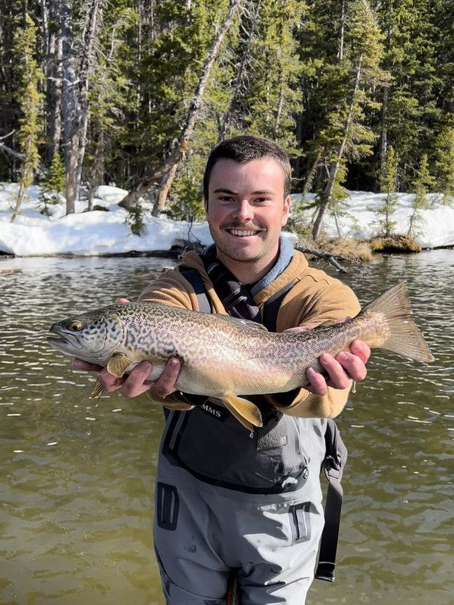 Brown trout landed along snowy banks