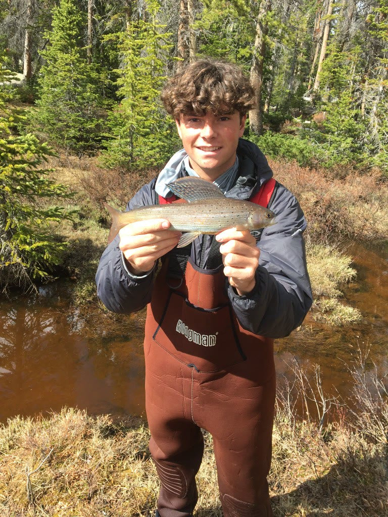 Arctic grayling catch